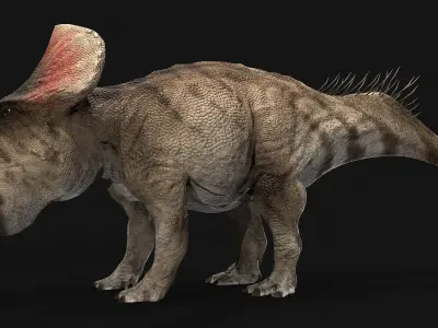 Protoceratops dinosaur Low-poly 3D model