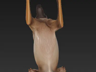 Dog 3D Model - Simple 3D model