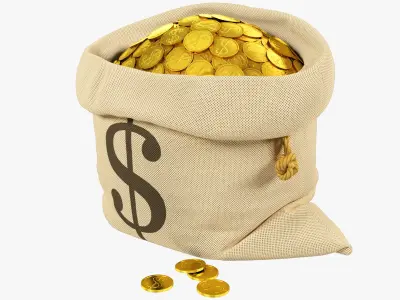 Bag of Coins V1 3D model