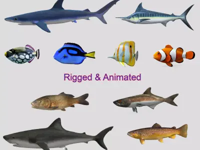 Fish Collection Animated - Game Ready Pack 2 Low-poly 3D model