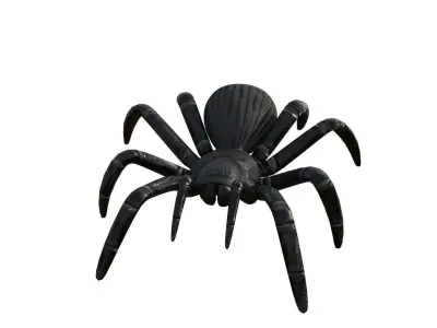 Spider 3d Model 3D model