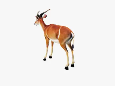 Antelope Free 3D model purchase