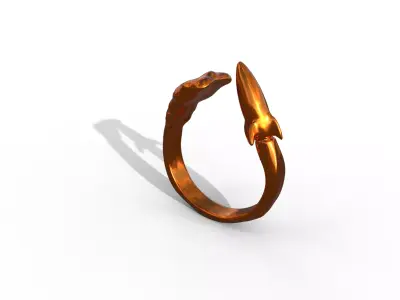 High-Quality 3D Ring Jet Model Low-poly 3D model