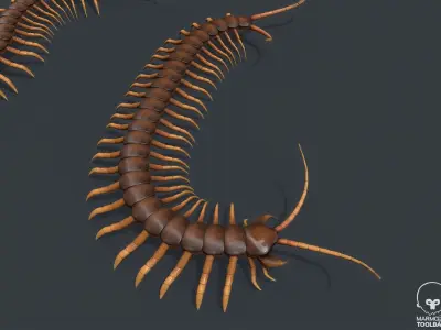 Pbr Centipede ball with Low-poly 3D model