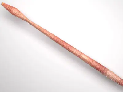 Straight Earthworm 3D model