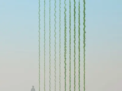 vertical garden 19 3D model