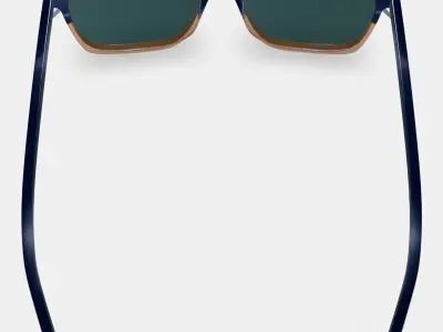 Fletcher Sunglasses in Antique Shale Fade 3D model