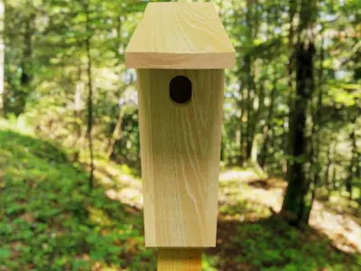 Wooden Bluebird House 3D model