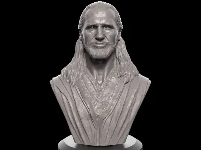 Liam Neeson - Qui-Gon Jinn Bust 3D print model purchase