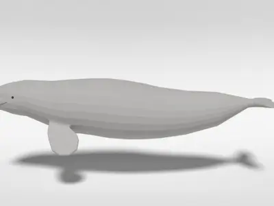 Low Poly Cartoon Beluga Whale Low-poly 3D model