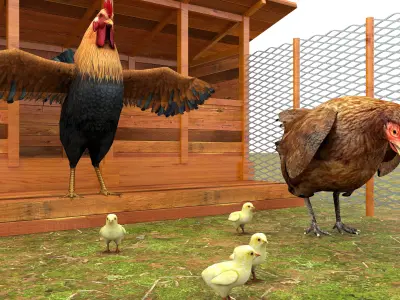 Chicken Coop Low-poly 3D model