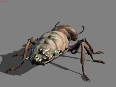Termite Isopetra Animal Low-poly 3D model