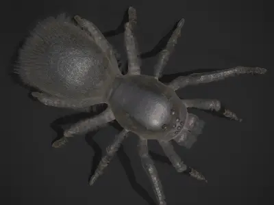 Black Spider Low-poly 3D model