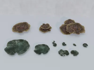 Nature Assets - Marine Biome Low-poly 3D model