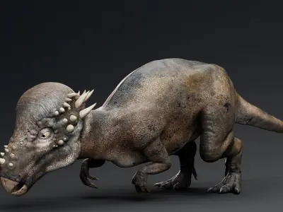 Dinosaur Pachycephalosaurus Low-poly 3D model