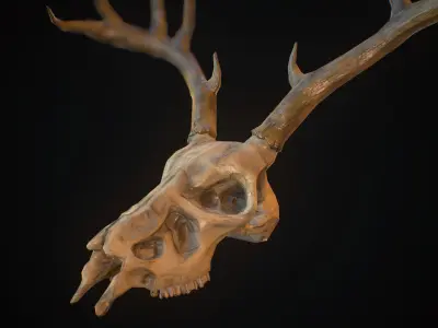 Decorative Skulls- Cow and Deer Low-poly 3D model