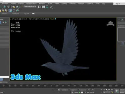 Realistic Animated Carrion Crow Low-poly 3D model