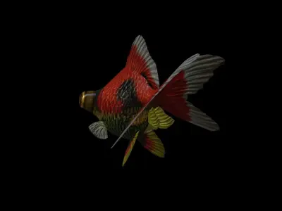FISH-006 Goldfish 3D model