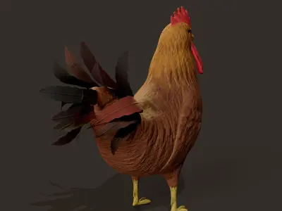 Cockerel Game ready 3D model Low-poly 3D model