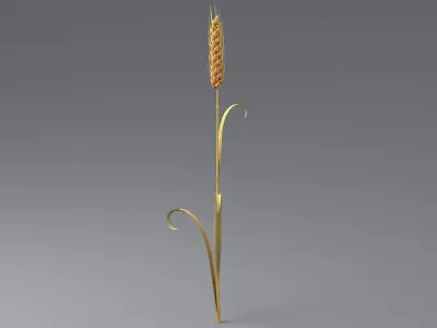 Cartoon Wheat Spikelet 03 3D model