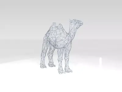 Camel Wireframe 3D model