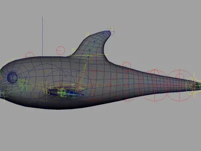 Rig Dolphin Low-poly 3D model