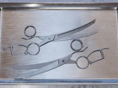 Hair Stylist PBR Scissors 3D model