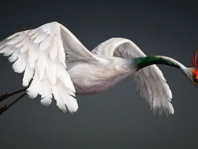 Crane Bird-B3 3D model