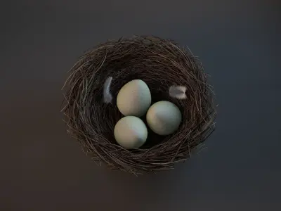 Bird nest 3D model