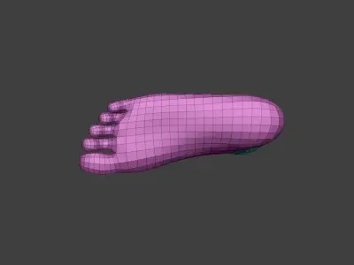 realistic female foot Low-poly 3D model