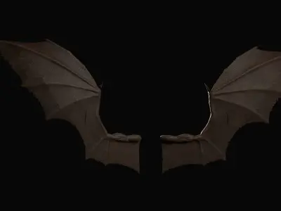 Pair of Bat Wings C4D Low-poly 3D model