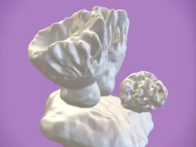 Coral 2 Free low-poly 3D model