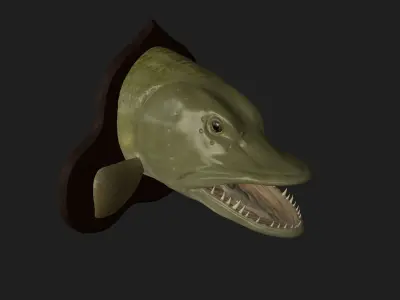 PIKE HEAD DETAILED TEXTURE TROPHY TAXIDERMY FOR 3D PRINTING Free 3D print model