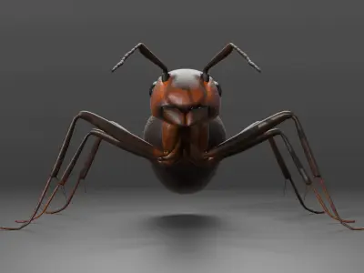 Ant 3D model Rigged 3D model
