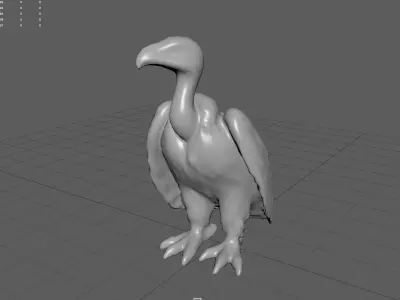 Vulture Low-poly 3D model