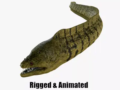 Moray eel 3D model
