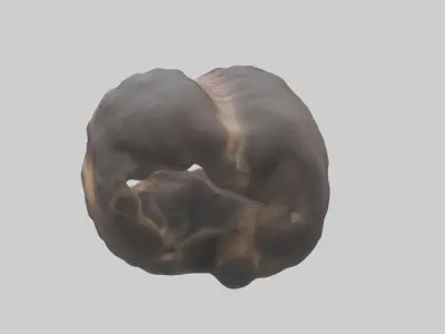 Moose Stomach Low-poly 3D model