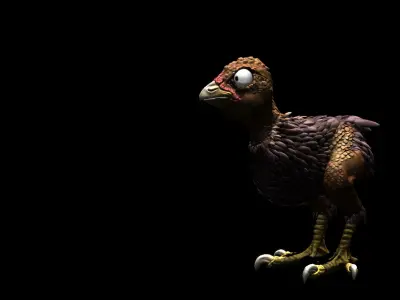 Dinosaur Chicken Low-poly 3D model