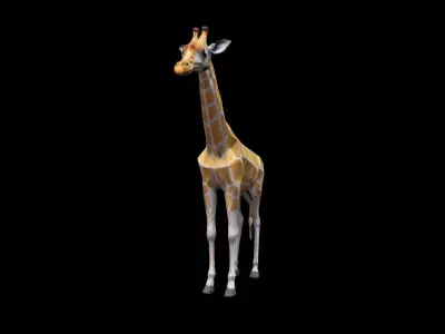 3d Model Giraffes Are The Tallest Land Animals 3D model