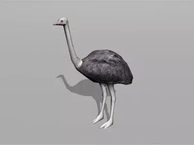ostrich Low-poly 3D model