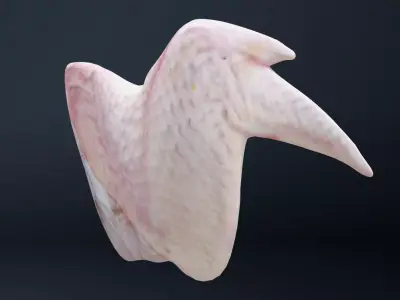 Wings of bird Low-poly 3D model