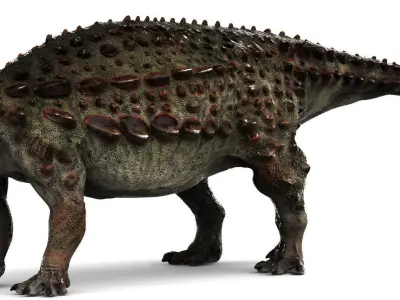 Scelidosaurus dinosaur Low-poly 3D model