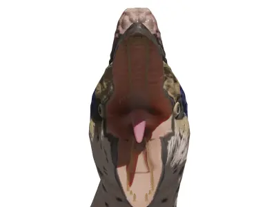 Quetzalcoatlus Simple Quetzalcoatlus rigged 3D model