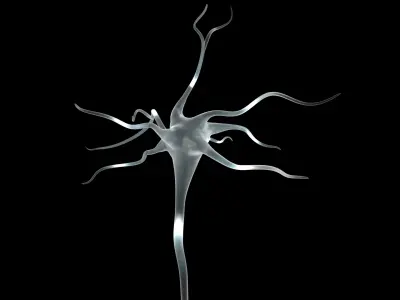 Neuron Cell 3D Model 3D model