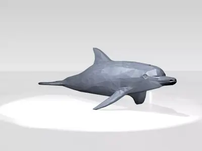 Dolphin Low Poligonal 3D model