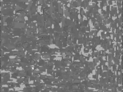 Lion Warrior Knight 3D Model Low-poly 3D model