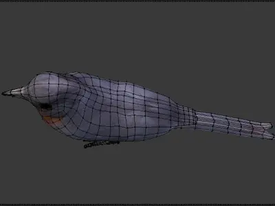 brid for VR 3D model