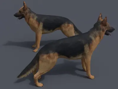 German Shepherd Low-poly 3D model