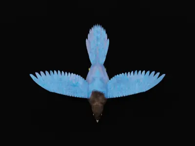 Purplish-Backed Jay Bird Low-poly 3D model