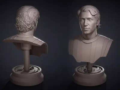 General Anakin Skywalker - Bust 3D print model purchase